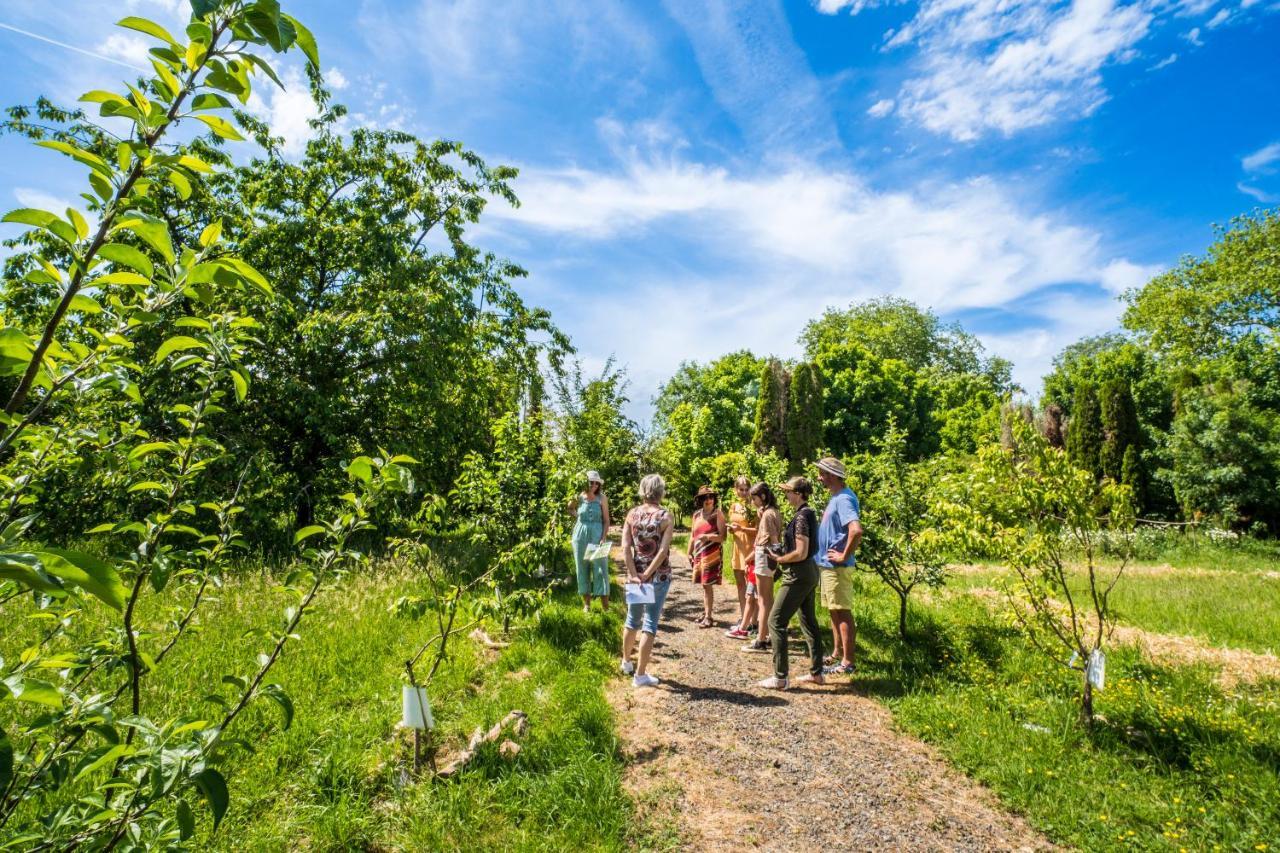 Chateau De La Tourlandry Chemille-en-Anjou Ngoại thất bức ảnh