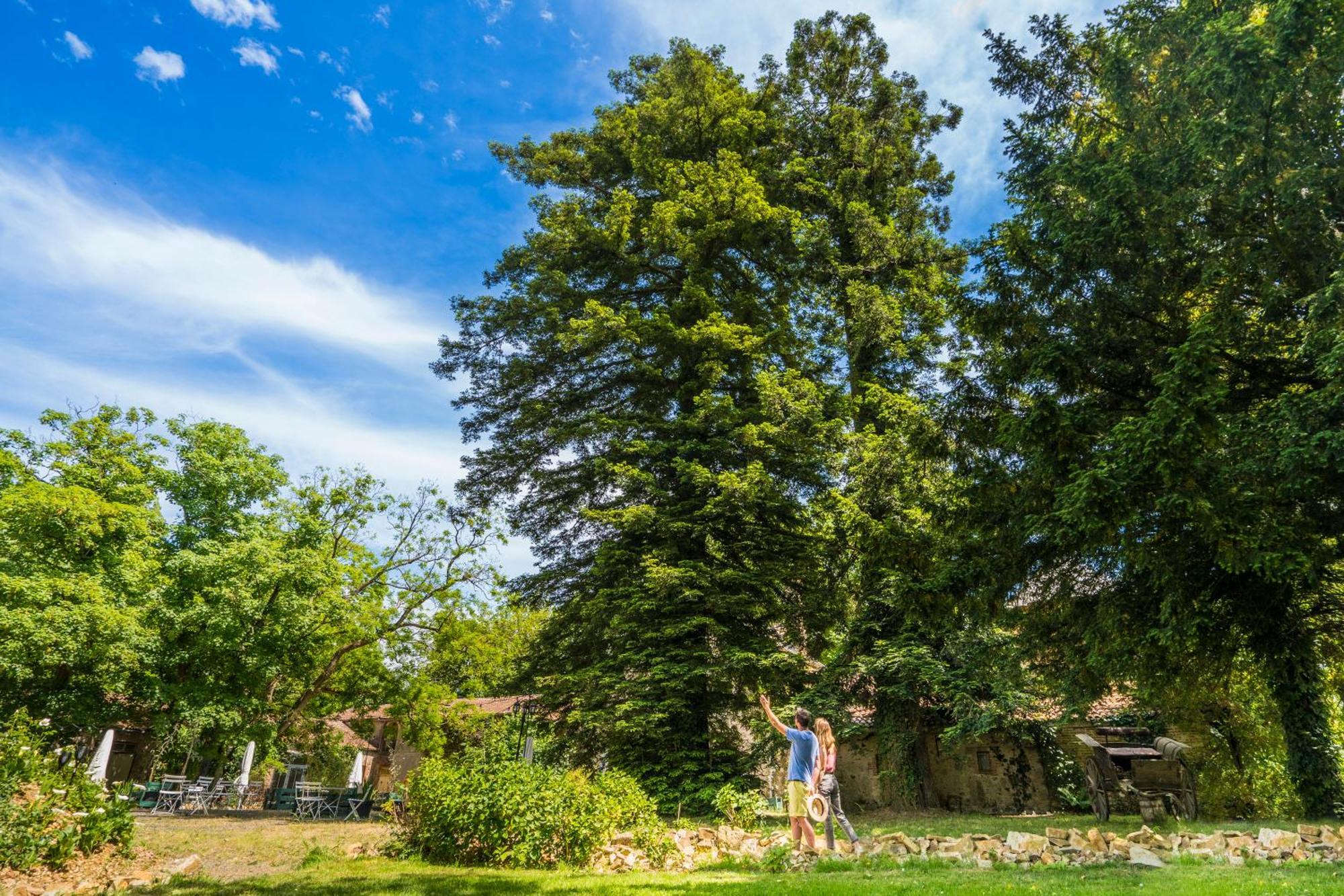 Chateau De La Tourlandry Chemille-en-Anjou Ngoại thất bức ảnh